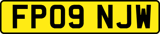 FP09NJW