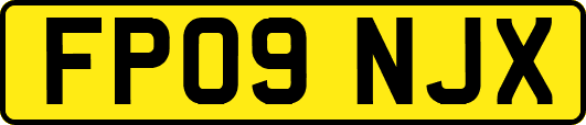 FP09NJX