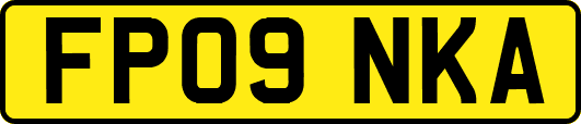 FP09NKA