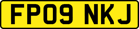 FP09NKJ