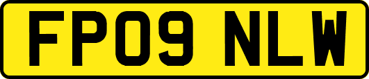FP09NLW