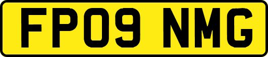 FP09NMG