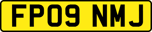 FP09NMJ