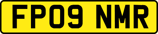 FP09NMR