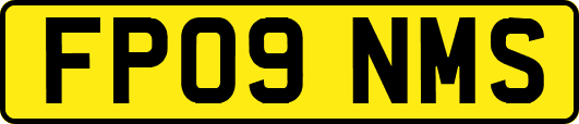 FP09NMS