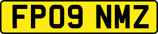 FP09NMZ