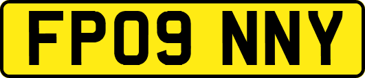 FP09NNY