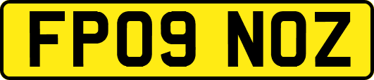 FP09NOZ