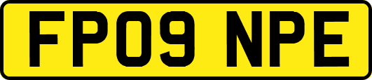 FP09NPE