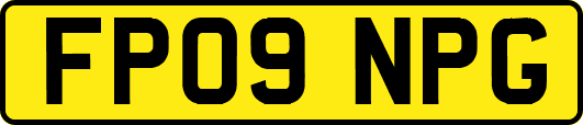 FP09NPG
