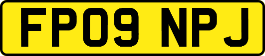 FP09NPJ