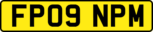 FP09NPM