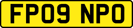 FP09NPO