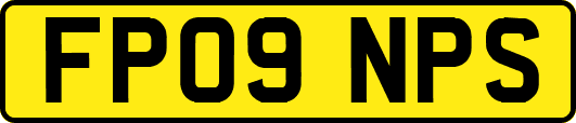 FP09NPS