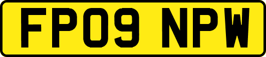 FP09NPW