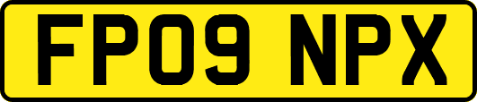 FP09NPX