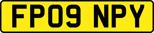 FP09NPY
