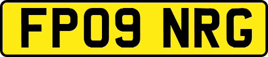 FP09NRG