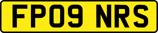 FP09NRS