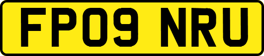 FP09NRU
