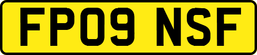 FP09NSF