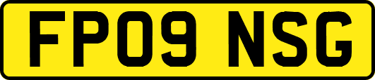 FP09NSG