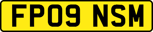 FP09NSM