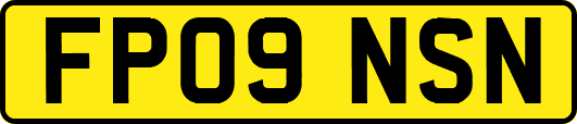 FP09NSN