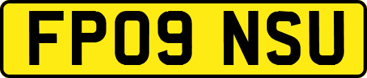 FP09NSU
