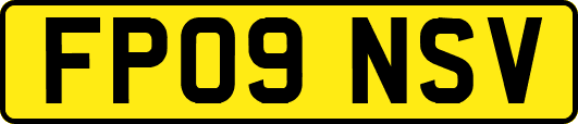 FP09NSV