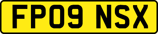 FP09NSX
