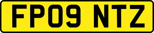 FP09NTZ