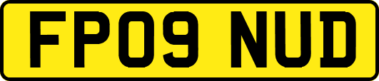 FP09NUD