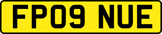 FP09NUE
