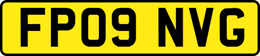FP09NVG