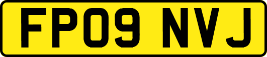 FP09NVJ