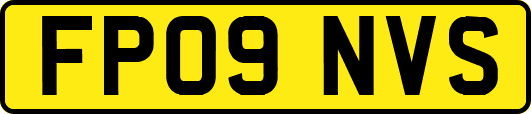 FP09NVS