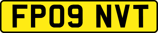 FP09NVT