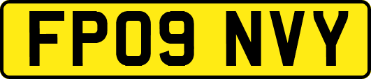 FP09NVY