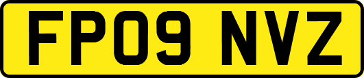 FP09NVZ