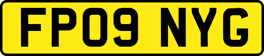 FP09NYG