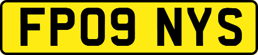 FP09NYS