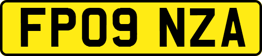 FP09NZA