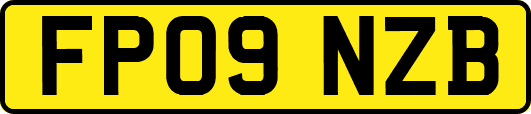 FP09NZB