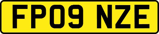 FP09NZE
