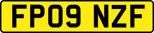 FP09NZF