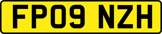 FP09NZH