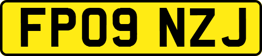 FP09NZJ