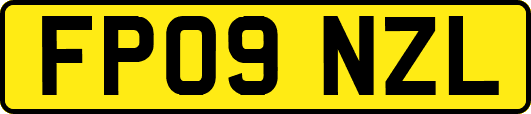 FP09NZL