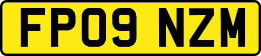FP09NZM